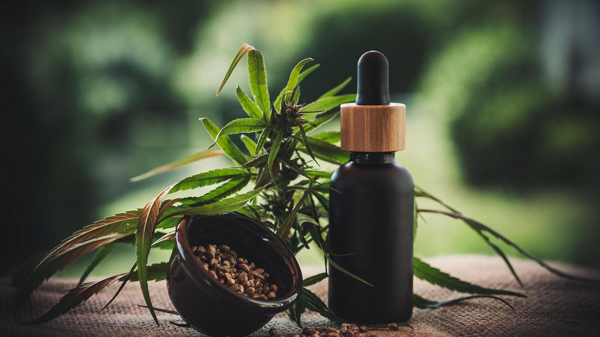 CBD oil bottle beside a hemp plant